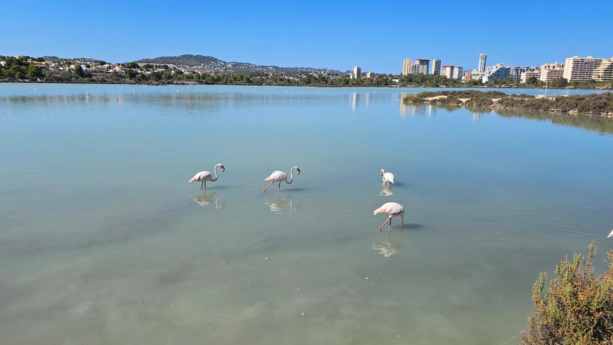 Apartamentos Esmeralda 111B Calpe Exteriör bild